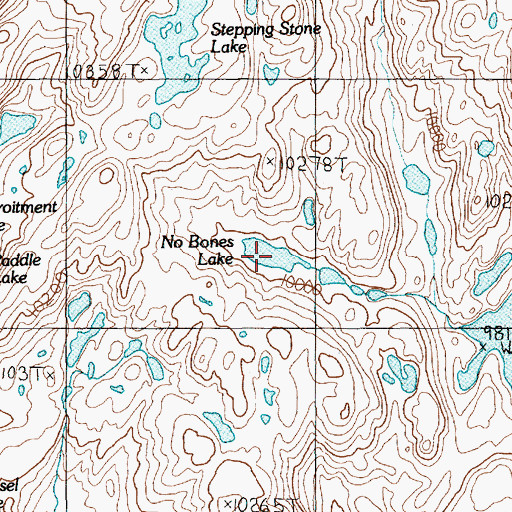 Topographic Map of No Bones Lake, MT