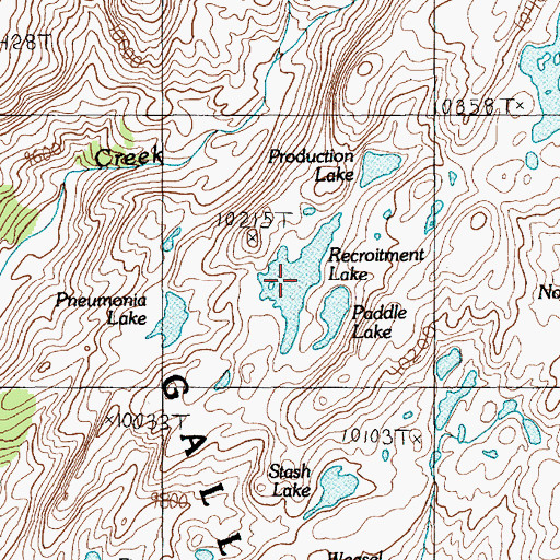 Topographic Map of Recroitment Lake, MT