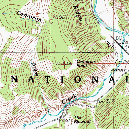 Topographic Map of Cameron Point, MT