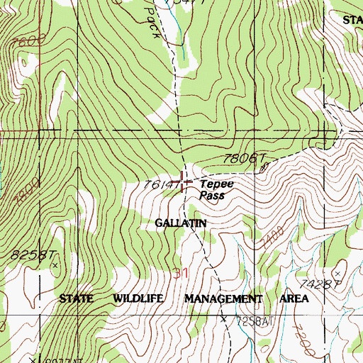 Topographic Map of Tepee Pass, MT
