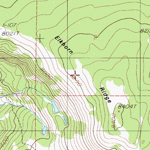 Topographic Map of Elkhorn Ridge, MT