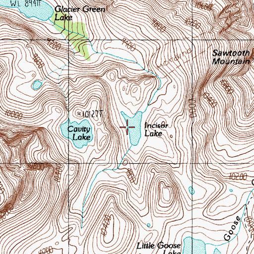 Topographic Map of Incisor Lake, MT