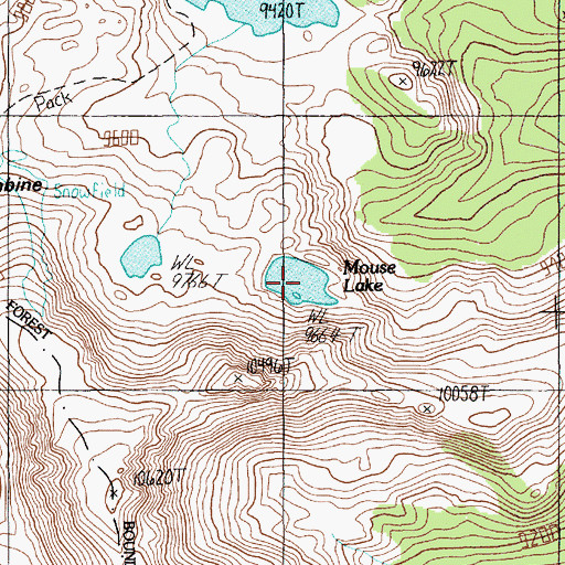 Topographic Map of Mouse Lake, MT