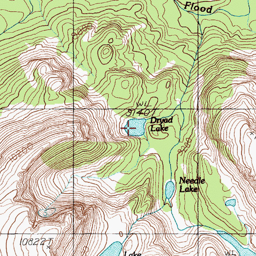 Topographic Map of Dryad Lake, MT
