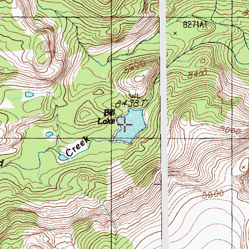Topographic Map of Bill Lake, MT