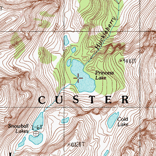Topographic Map of Princess Lake, MT