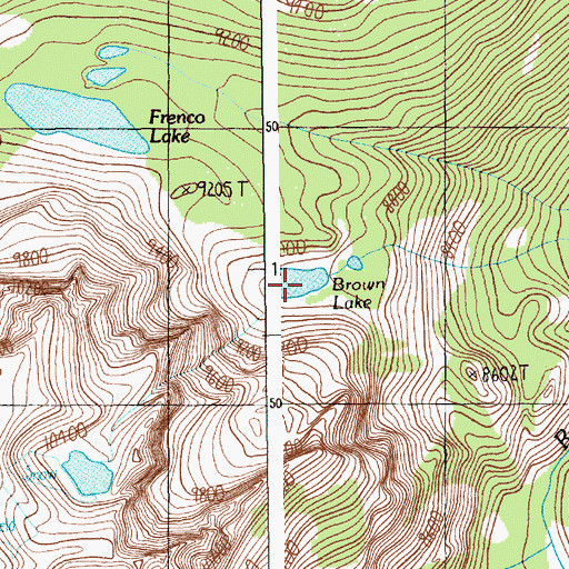 Topographic Map of Brown Lake, MT