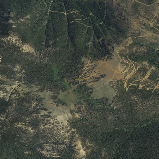 Aerial/Satellite Image of The Golf Course, MT