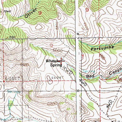 Topographic Map of Whittaker Spring, MT