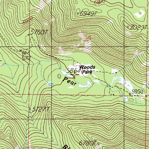 Topographic Map of Woods Park, MT