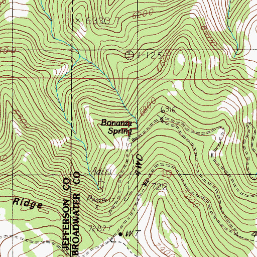 Topographic Map of Bonanza Spring, MT