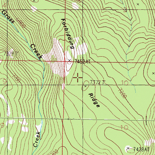 Topographic Map of Forbidding Ridge, MT