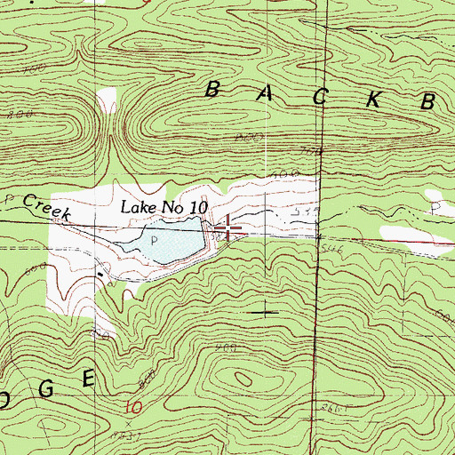 Topographic Map of Sixmile Creek Watershed Site 10 Dam, AR