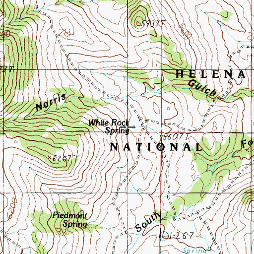 Topographic Map of White Rock Spring, MT