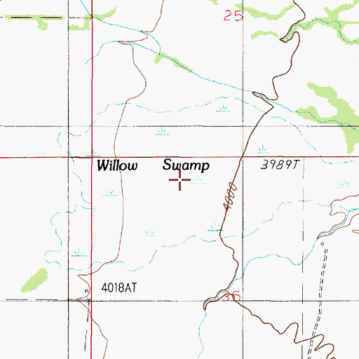 Topographic Map of Willow Swamp, MT