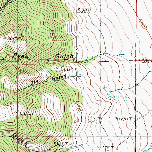 Topographic Map of Dry Gulch, MT