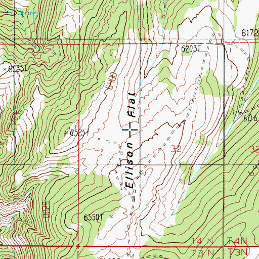 Topographic Map of Ellison Flat, MT