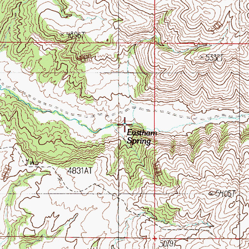 Topographic Map of Eastham Spring, MT