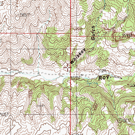 Topographic Map of Whiskey Gulch, MT