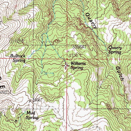 Topographic Map of Williams Spring, MT