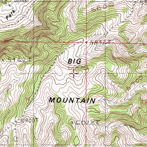 Topographic Map of Big Mountain, MT