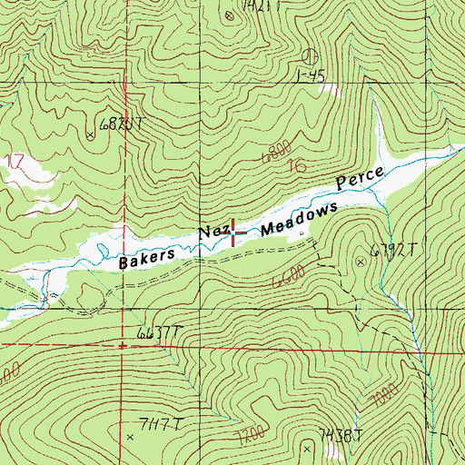 Topographic Map of Bakers Meadows, MT