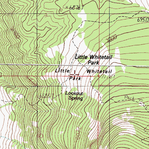 Topographic Map of Little Whitetail Park, MT