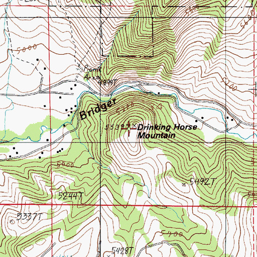 Topographic Map of Drinking Horse Mountain, MT