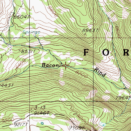 Topographic Map of Burnt Fork, MT