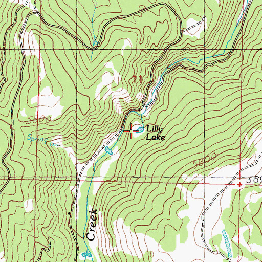 Topographic Map of Lilly Lake, MT
