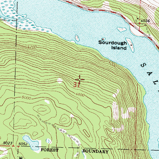 Topographic Map of Sourdough Island on Salmon Lake Heliport, MT