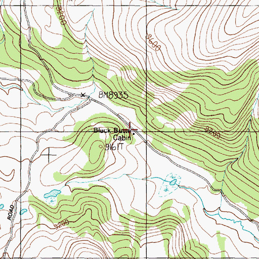 Topographic Map of Black Butte Ranger Station, MT