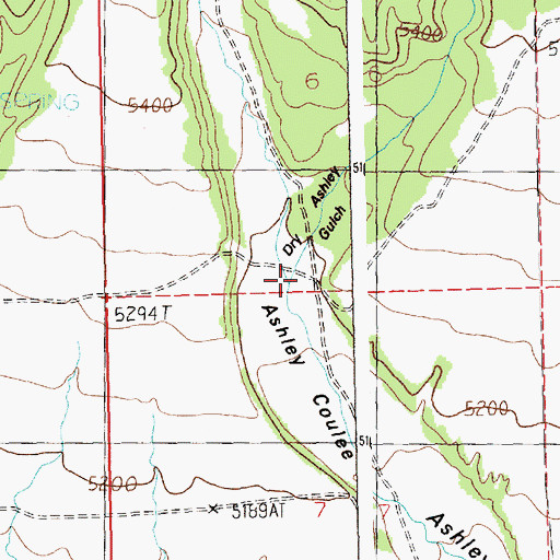 Topographic Map of Dry Ashley Gulch, MT