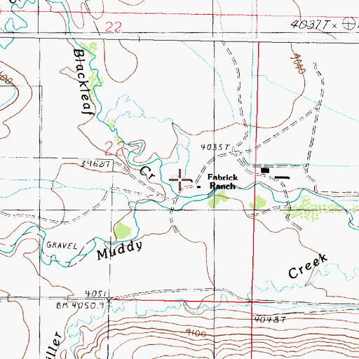 Topographic Map of Fabrick Ranch, MT