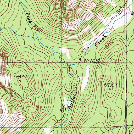 Topographic Map of West Fork Buffalo Creek, MT