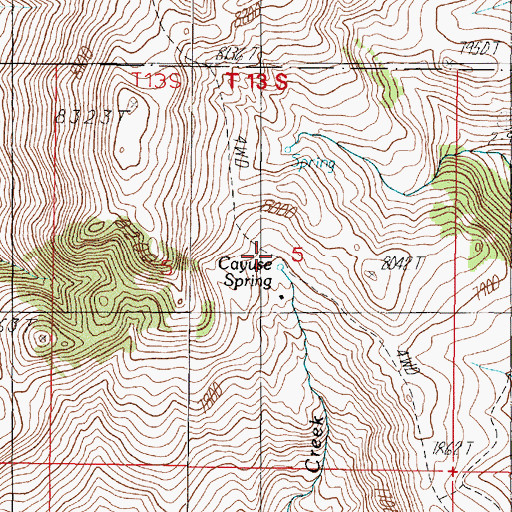 Topographic Map of Cayuse Spring, MT