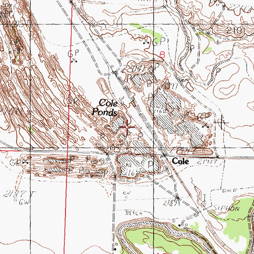 Topographic Map of Cole, MT