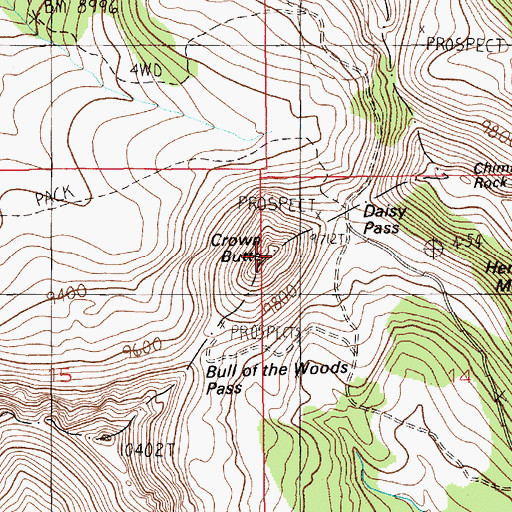 Topographic Map of Crown Butte, MT