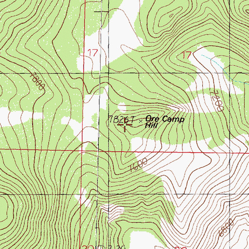 Topographic Map of Ore Camp Hill, MT