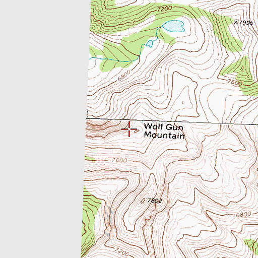 Topographic Map of Wolf Gun Mountain, MT