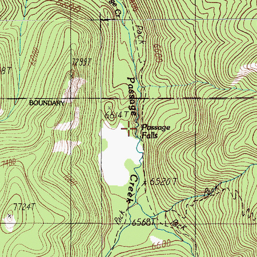 Topographic Map of Passage Falls, MT