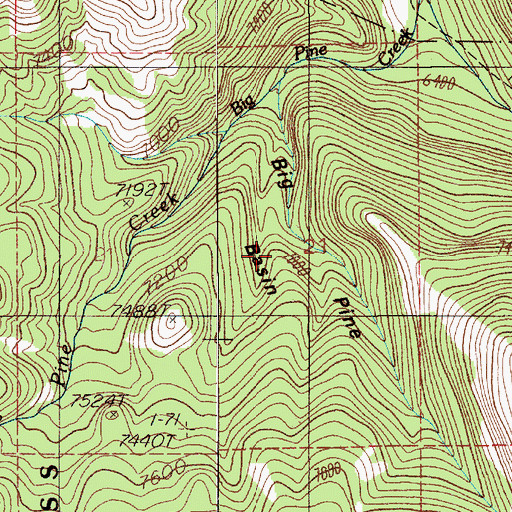 Topographic Map of Big Pine Basin, MT