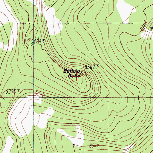 Topographic Map of Buffalo Butte, MT