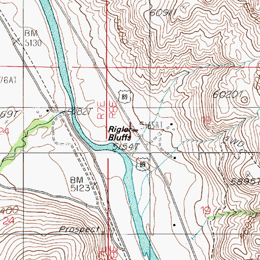 Topographic Map of Rigler Bluffs, MT