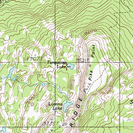 Topographic Map of Turquoise Lake, MT