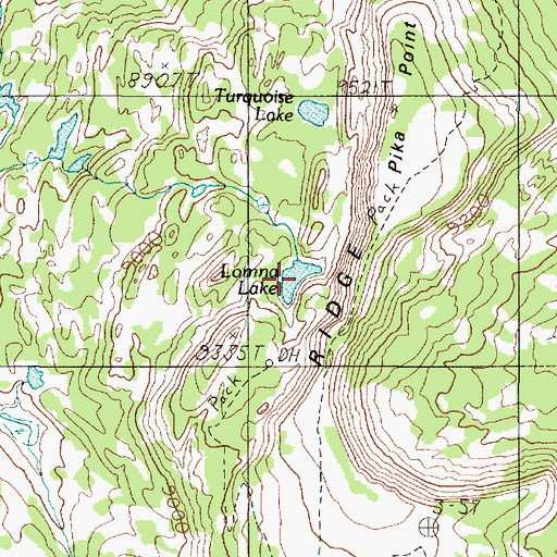 Topographic Map of Lomna Lake, MT