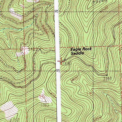 Topographic Map of Eagle Rock Saddle, MT