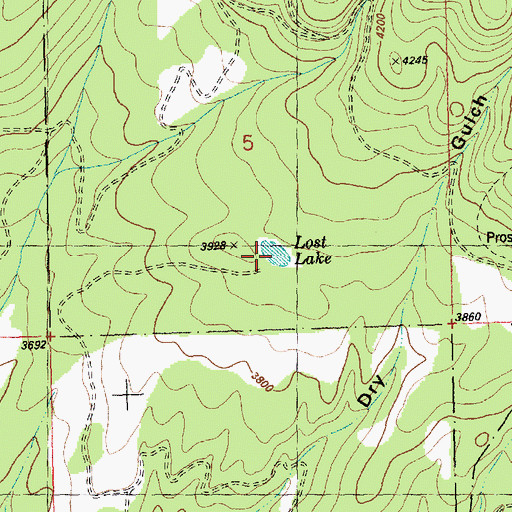 Topographic Map of Lost Lake, MT