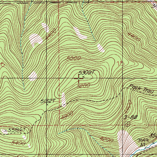 Topographic Map of Petes Point, MT
