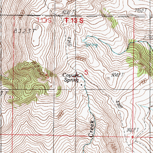 Topographic Map of 13S02W05CAAA01 Spring, MT